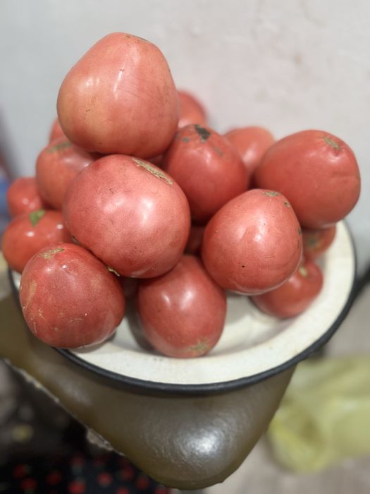 Продам дачный помидоры Бычье сердце