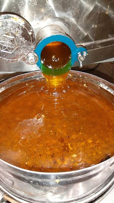 Пчелен мед 6 лева