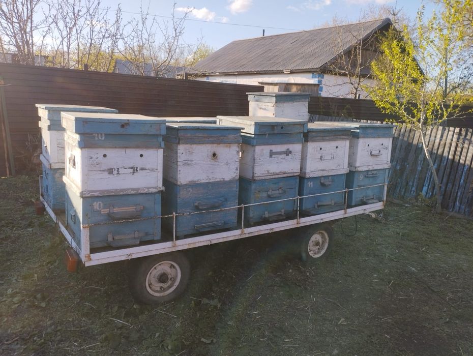 Прицеп с ульями для легкового автомобиля