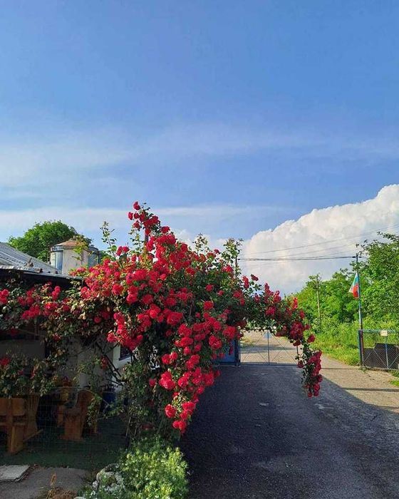 Продава се Промишлена сграда в Добрич, Дружба 3 - 1500 кв.м за 334 €/кв.м - Снимка #17