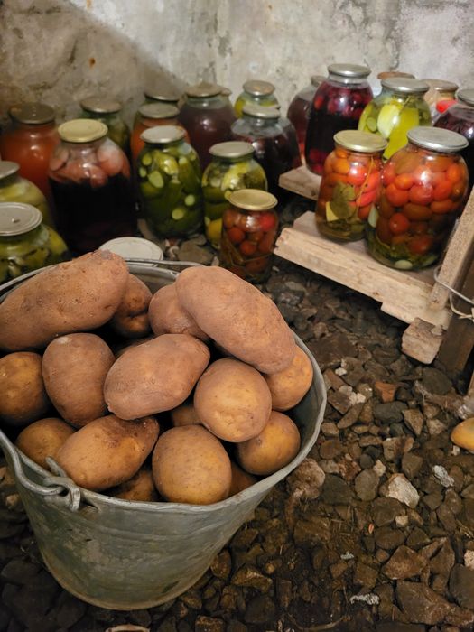 Продам картофель. Дачный