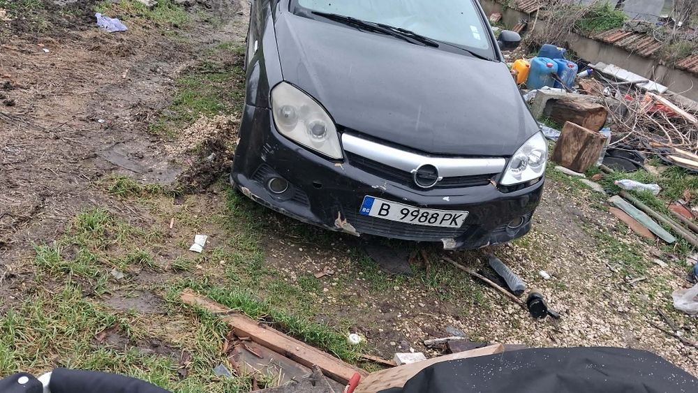 Опил тигра 2006 г