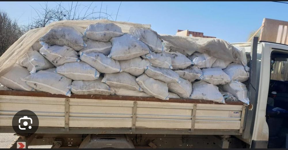 Facem curat în curți și becuri