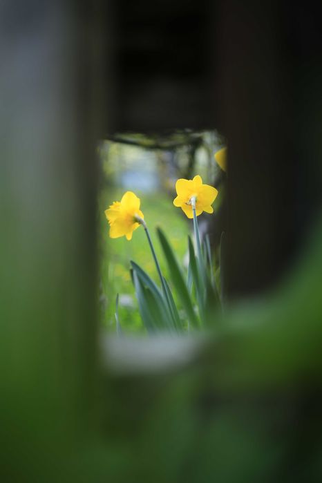 Obiectiv foto Helios 44-2 58mm F2 - montura M42