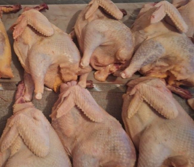 Куры бульонные домашние