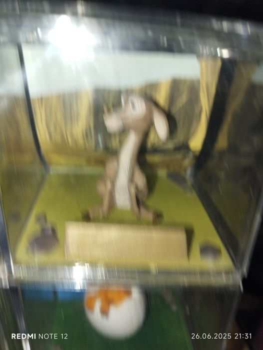 Ледниковый период