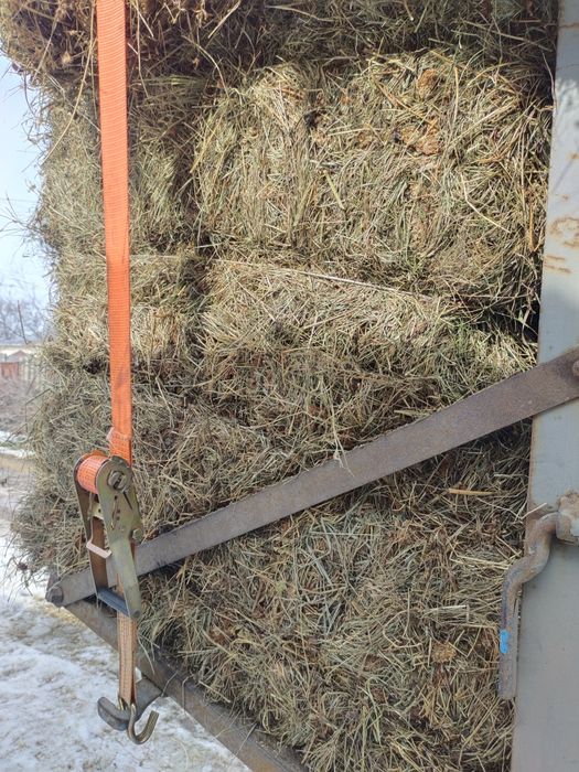 Сено шоп жонышка