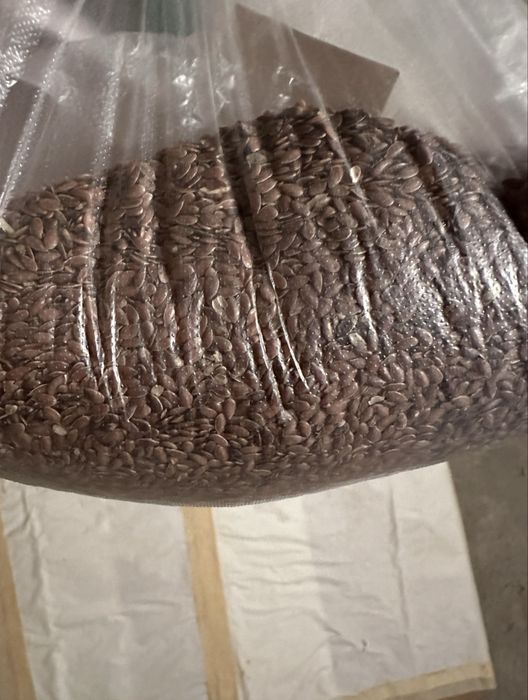 Продам Ячмень новый