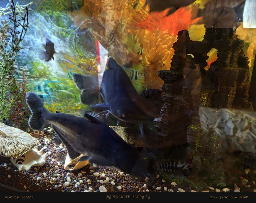 Продам аквариум с рыбками