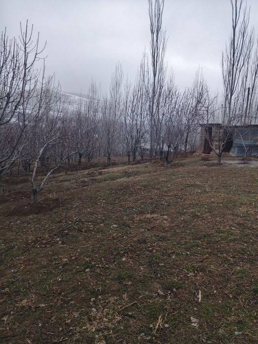 Uy sotladi srochni дом прадаётса срочни