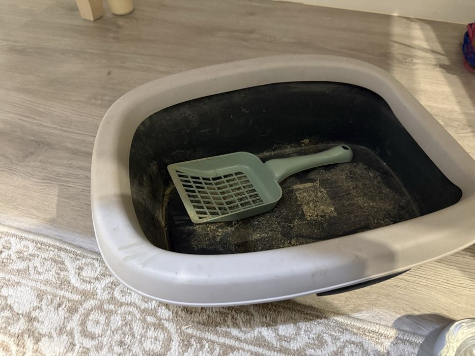 Горшок ,миски и игрушки для кошки