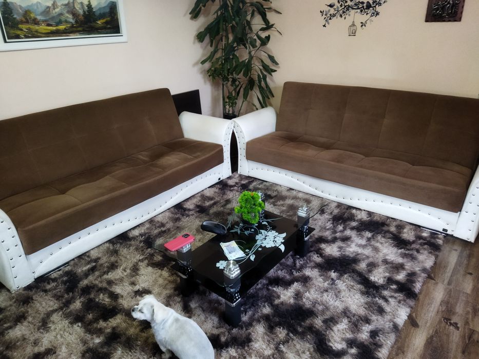 Doua canapele extensibile identice