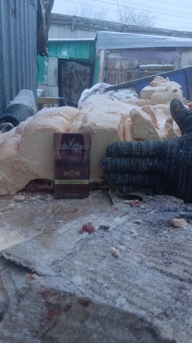 Продам согым 1/4 часть