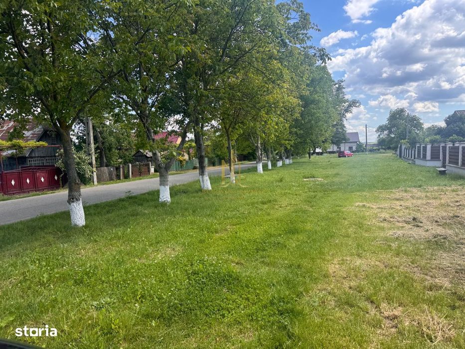 Teren 2.900 Mp În Zona Centrală Lipoveni – Acces Direct La Asfalt