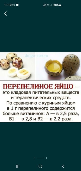 Яйца перепелов вначие
