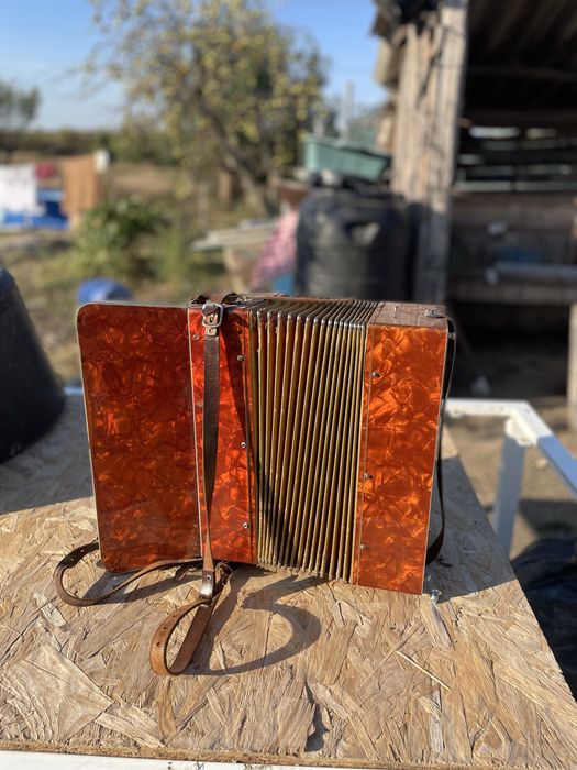 Acordeon vintige