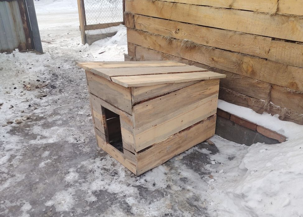 Срочно не дорого