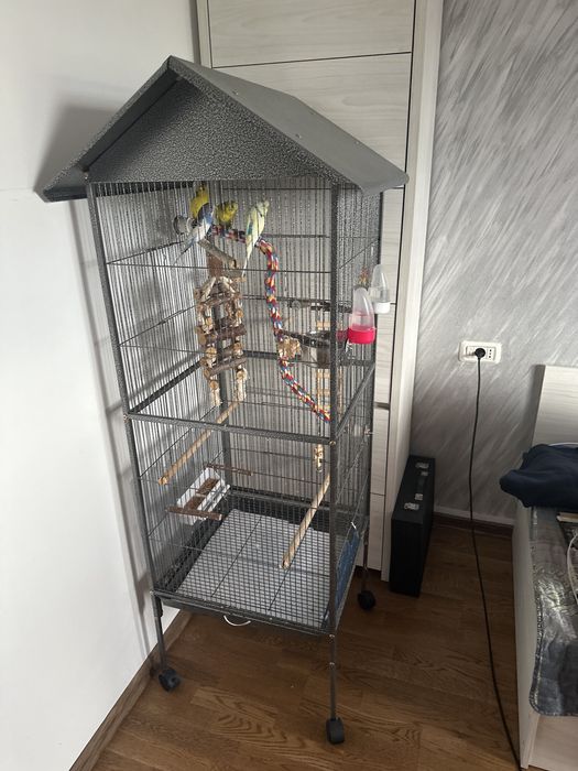 Perusi, cusca si accesorii.