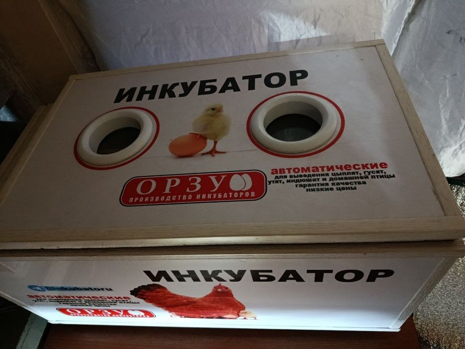 Orzu inkubator 150 tali  B/U