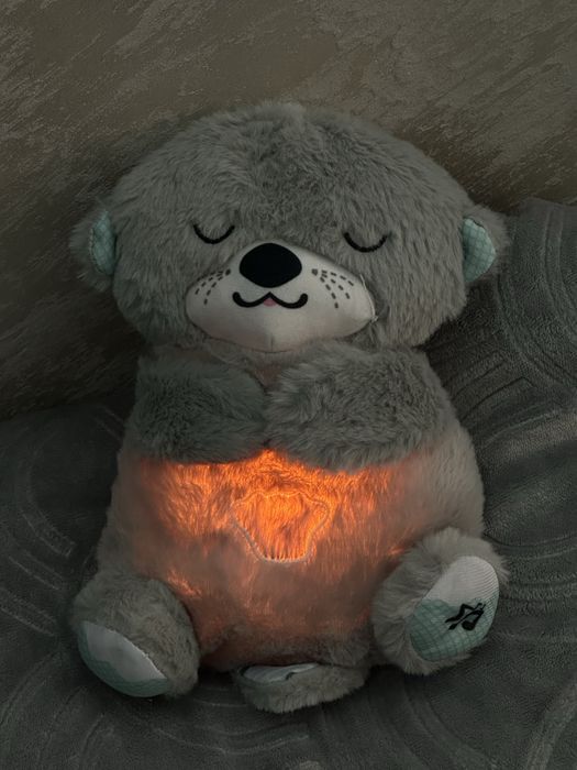 Спящая выдра