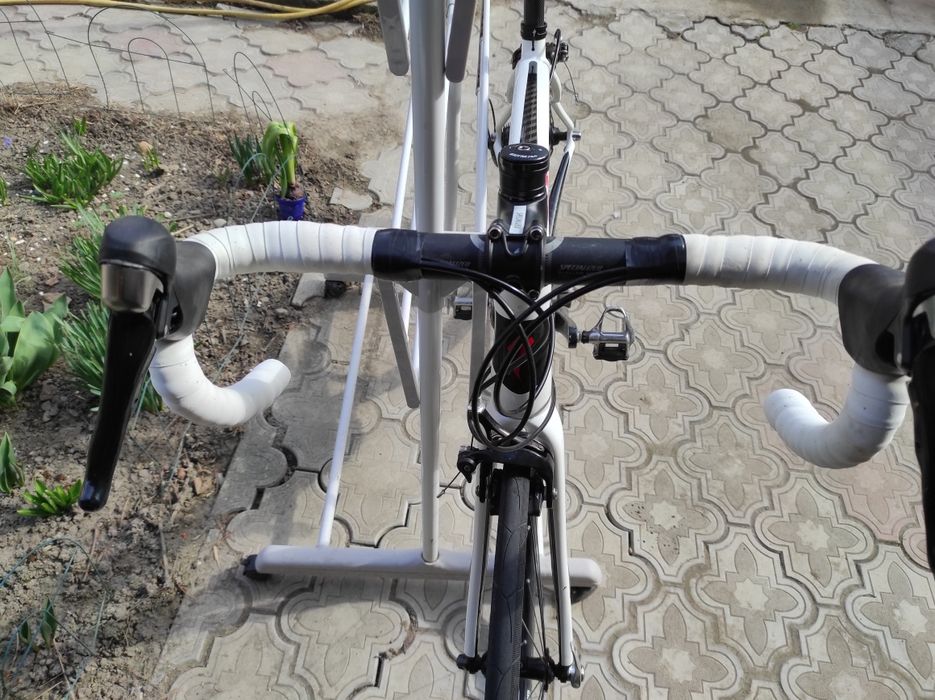 Cursieră Specializez carbon .