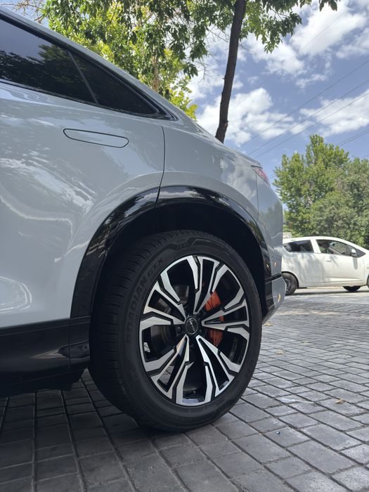 Brembo xarxil bor