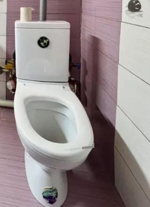 Ламинат, унитаз, люстра, лестница, картина