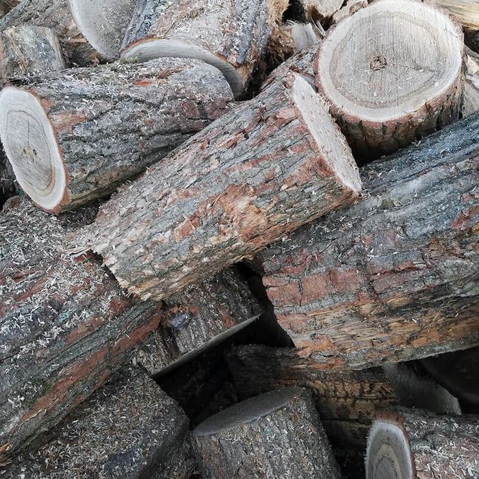Бревна дрова пеньки
