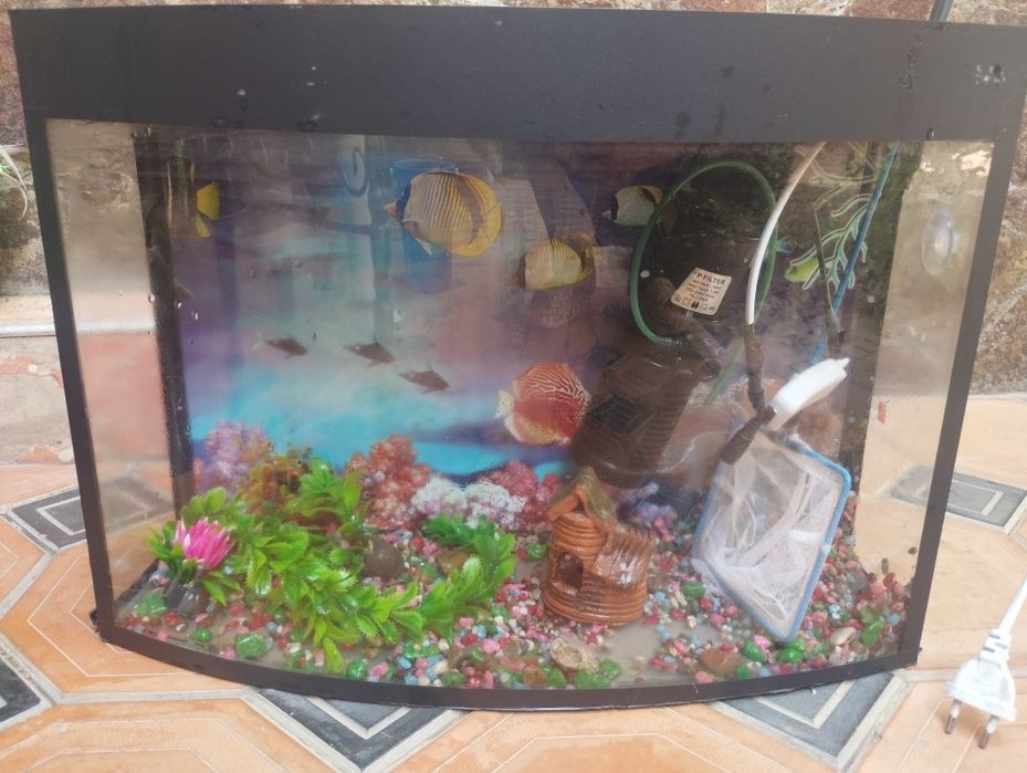 Аквариум Все набор есть