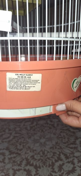 Colivie cusca papagali perusi ca noua