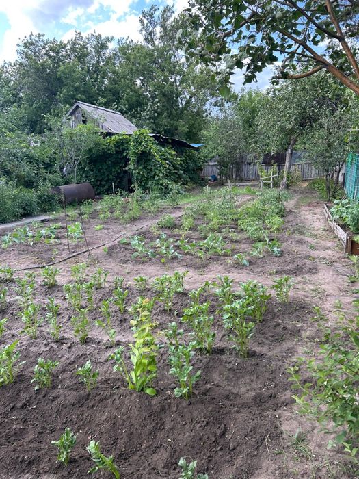 Продам дачу.