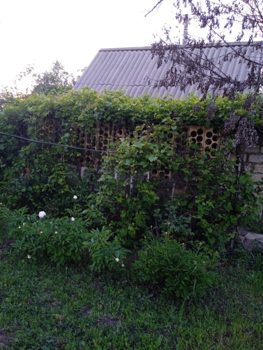 Срочно Продам приватизированую дачу