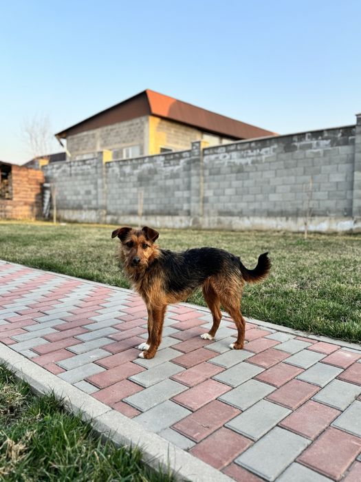 Девочка Евочка ищет любящую семью