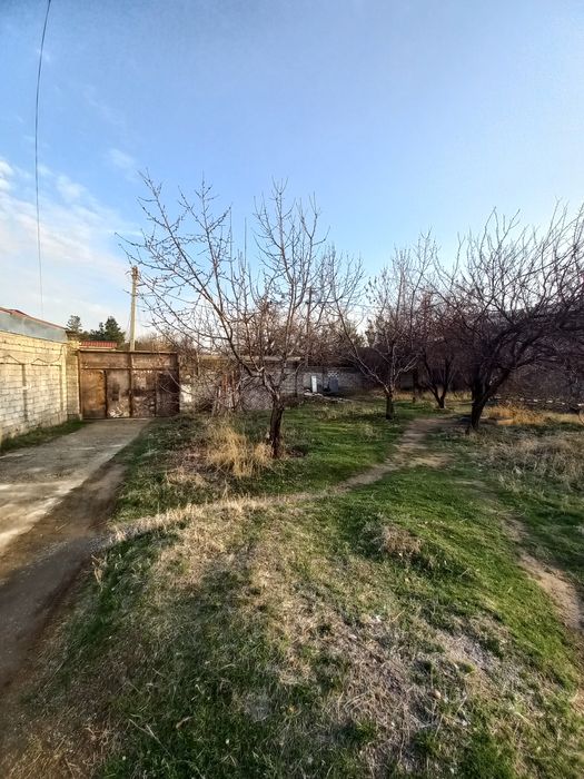 Seleksiyada Yer sotiladi 4-sotok 20 ga 20 (bu sotogining narxi)