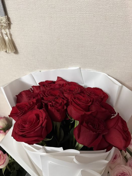 красные розы 17шт