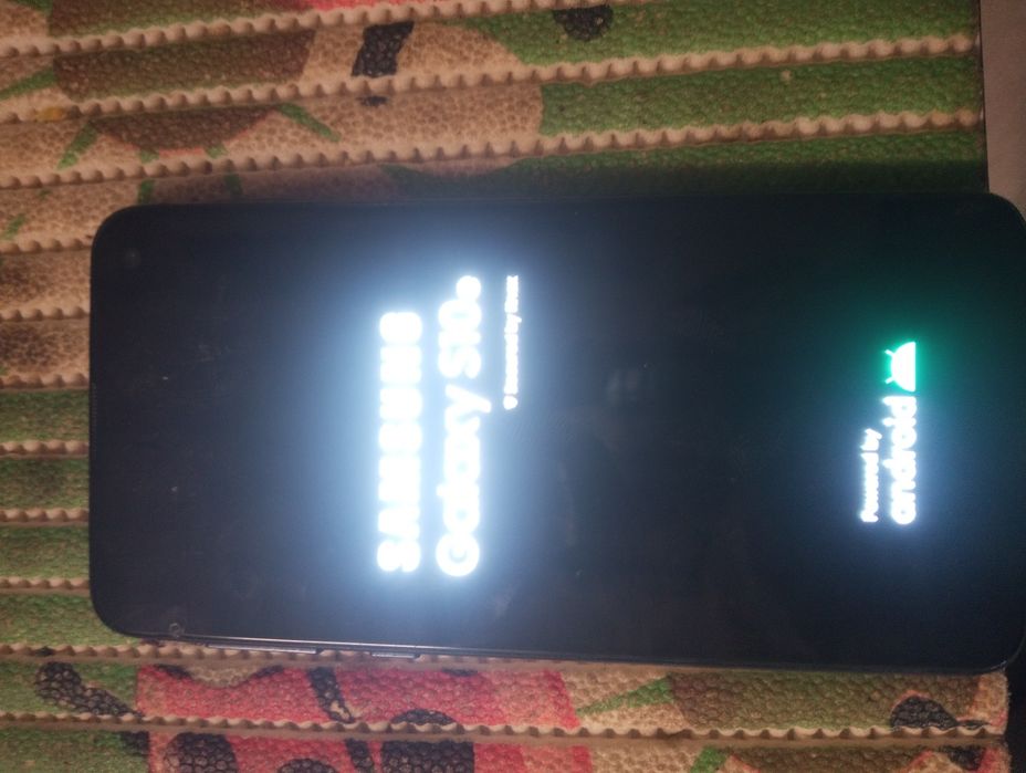 Samsung Galaxy s10e