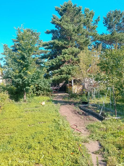 Продам дачу с участком