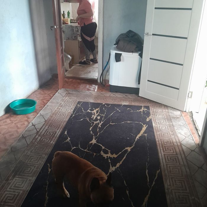 Дом на два хозяина