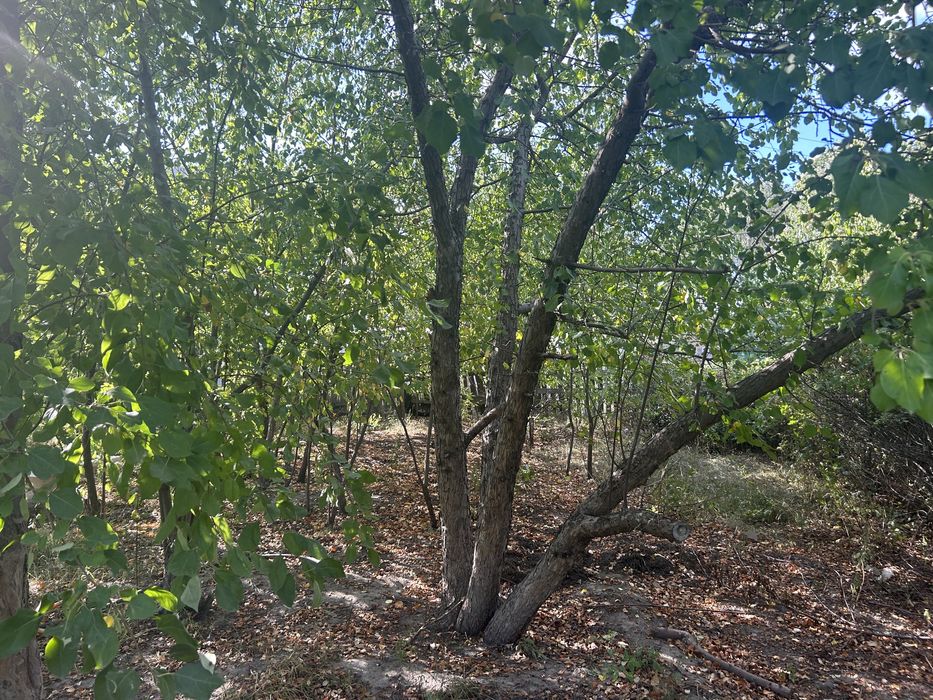 Продам или сдам дачу на Восточном.Протока