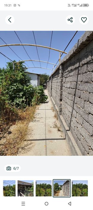 Туйтепа Акмал Икромов дачада 8 сотих ховли сотилади  боги бор 4 хона