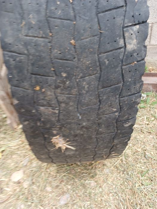 Мишилени ведущих