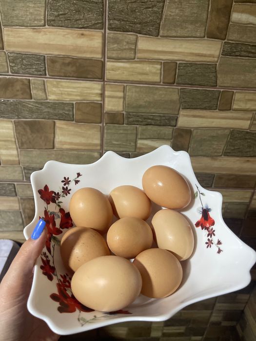 Ouă proaspete de vânzare