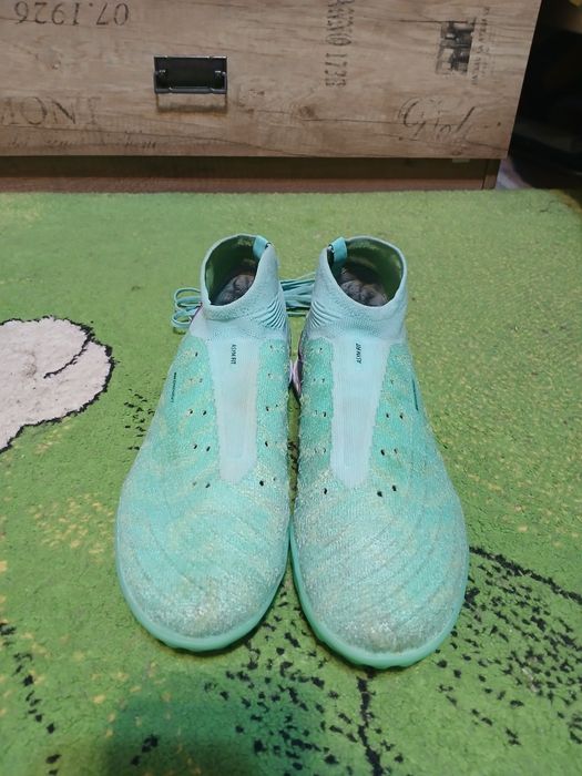 Сороконожки фантом луна