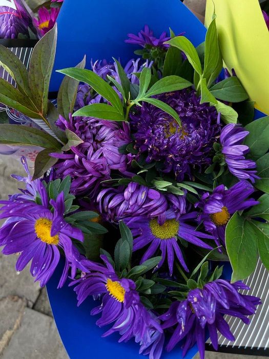 Продам многолетние цветы