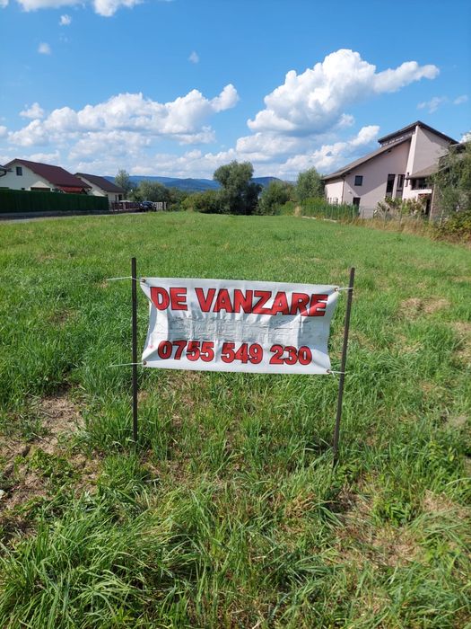 Teren de vanzare Mocira