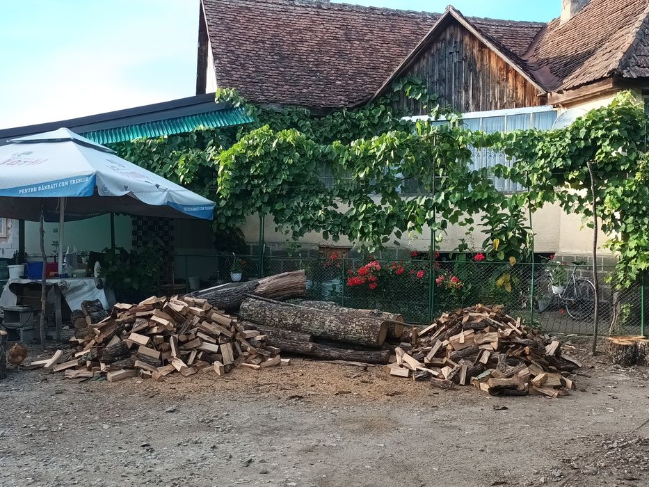 Casa 4 cam. la Dipsa