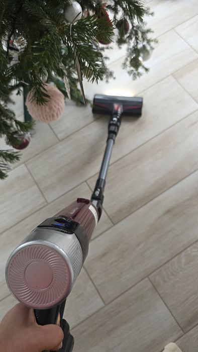 Aspirator vertical fara fir Rowenta X-Force Flex 9.60 Animal Care RH20