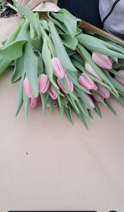 Оптом и в розницу от 360