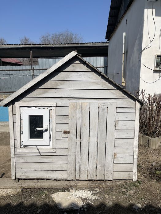 Собачья будка двухконмнатная