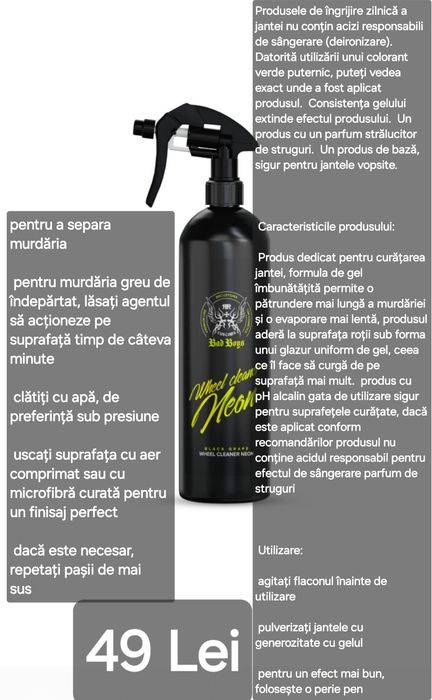 Soluții BadBoys – Îngrijire Profesională pentru Mașina Ta!